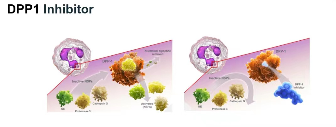 20221208/1380b44a8d0917b3c65e8d7405f5553f.png /tmp/php3uWsdf